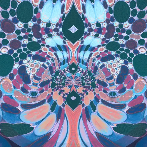 illust